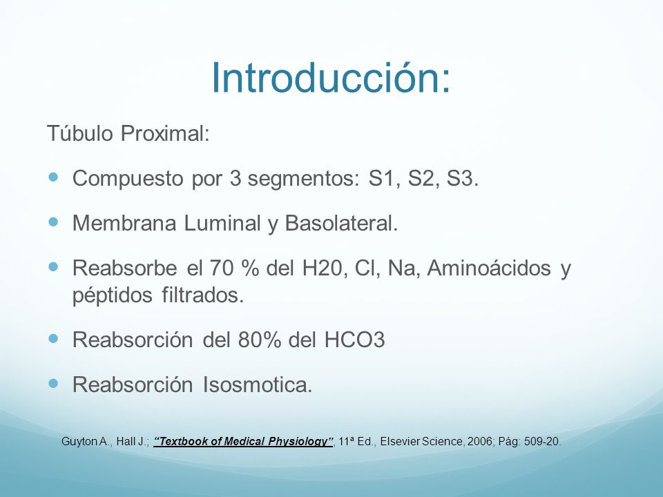 Introducción: Túbulo Proximal: Compuesto por 3 segmentos: S1, S2, S3.