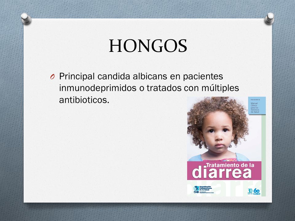 HONGOS Principal candida albicans en pacientes inmunodeprimidos o tratados con múltiples antibioticos.