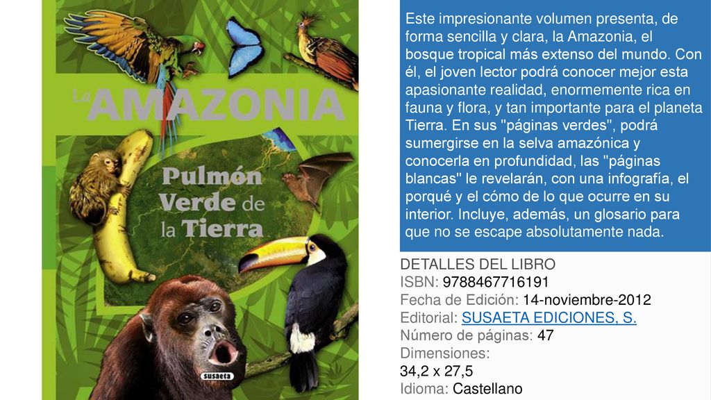 Este impresionante volumen presenta, de forma sencilla y clara, la Amazonia, el bosque tropical más extenso del mundo. Con él, el joven lector podrá conocer mejor esta apasionante realidad, enormemente rica en fauna y flora, y tan importante para el planeta Tierra. En sus páginas verdes , podrá sumergirse en la selva amazónica y conocerla en profundidad, las páginas blancas le revelarán, con una infografía, el porqué y el cómo de lo que ocurre en su interior. Incluye, además, un glosario para que no se escape absolutamente nada.