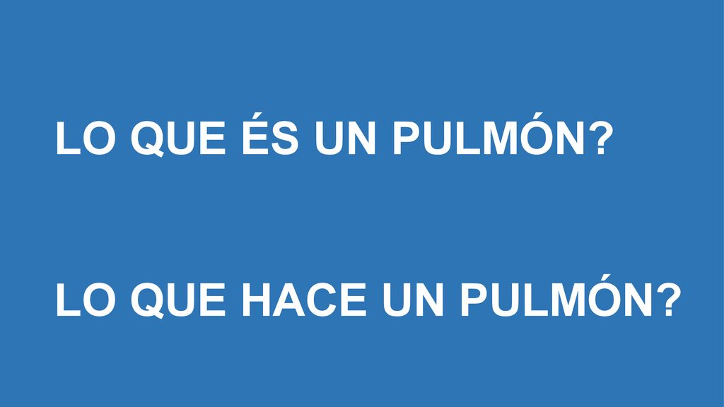 LO QUE ÉS UN PULMÓN Lo que hace un pulmón