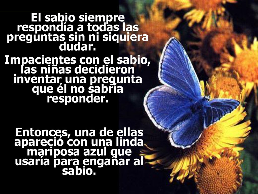 Ria Slides El sabio siempre respondía a todas las preguntas sin ni siquiera dudar.