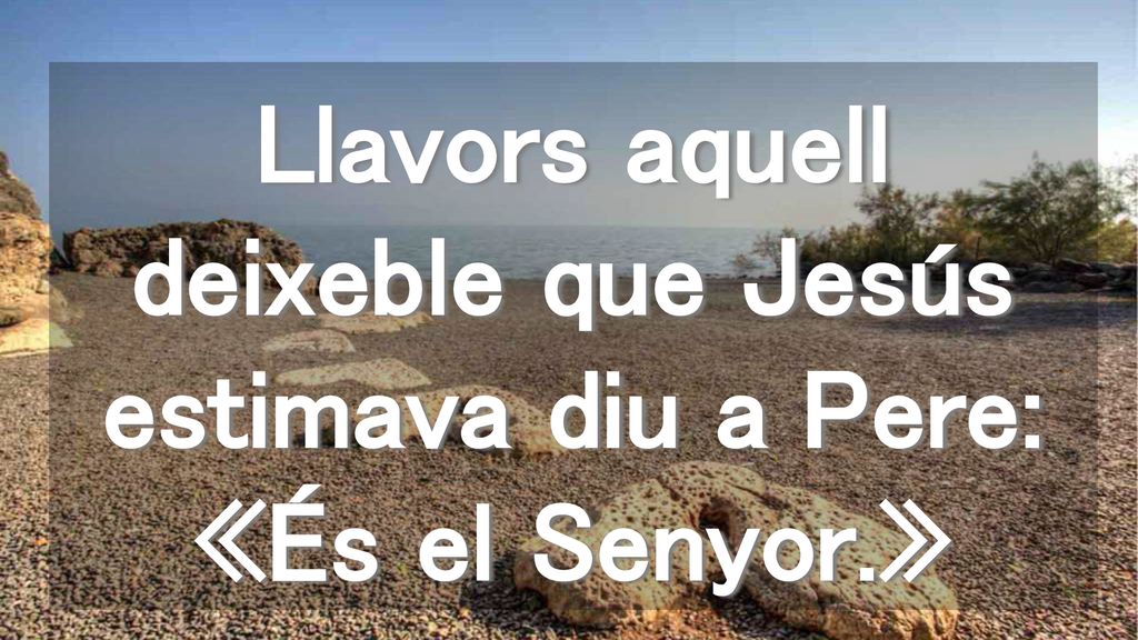 Llavors aquell deixeble que Jesús estimava diu a Pere: «És el Senyor.»