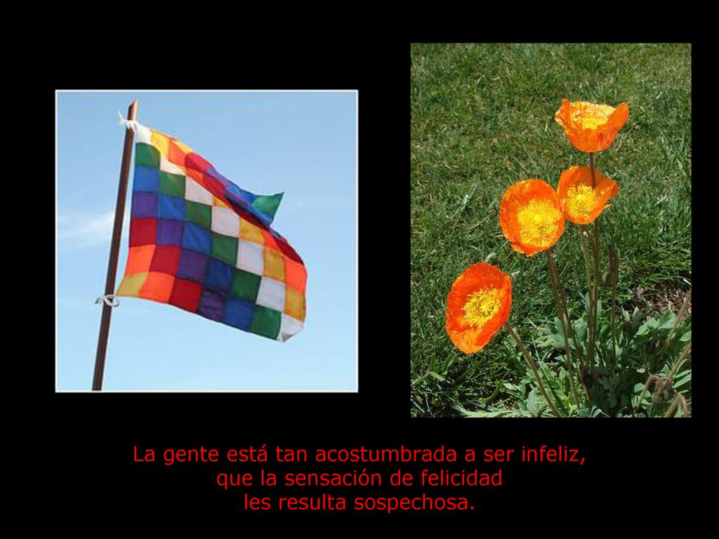 La gente está tan acostumbrada a ser infeliz, que la sensación de felicidad les resulta sospechosa.