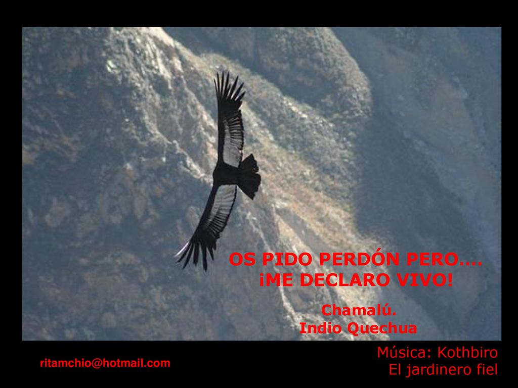 OS PIDO PERDÓN PERO…. ¡ME DECLARO VIVO! Chamalú. Indio Quechua