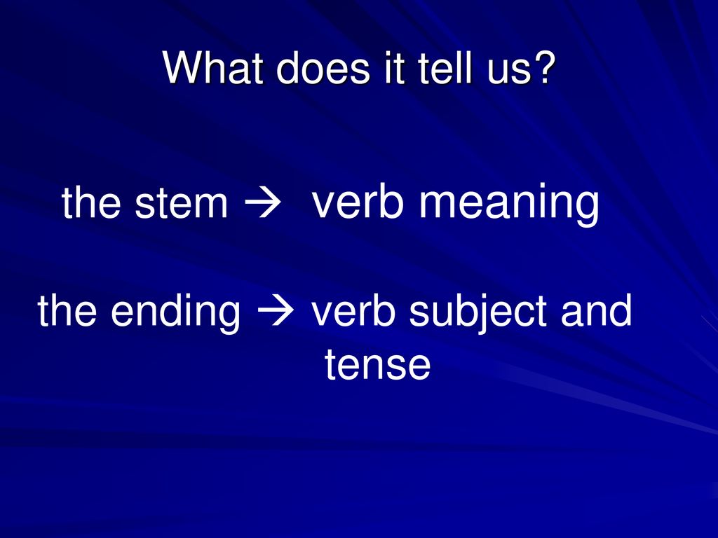 What does it tell us. the stem  verb meaning.