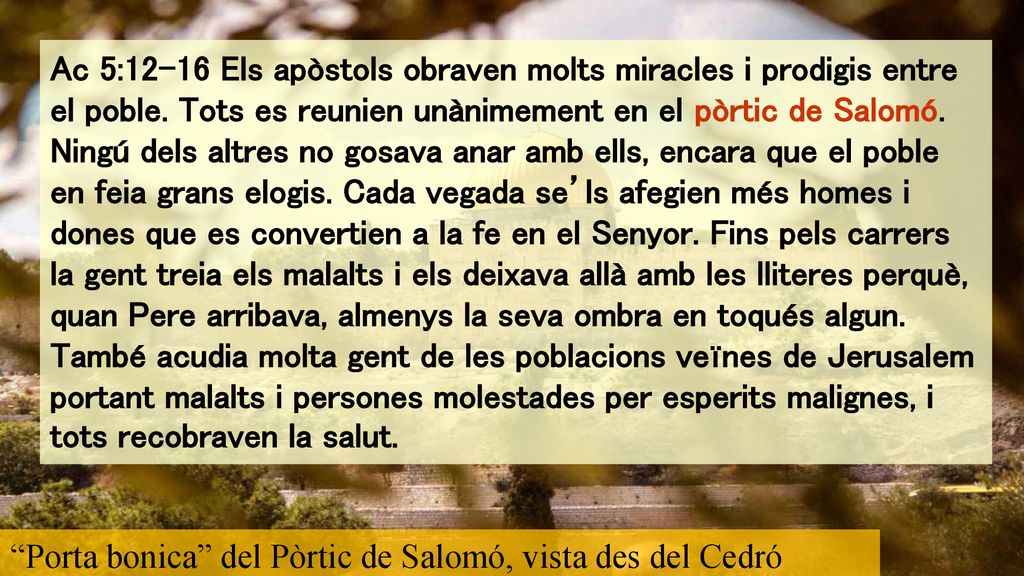 Ac 5:12-16 Els apòstols obraven molts miracles i prodigis entre el poble. Tots es reunien unànimement en el pòrtic de Salomó. Ningú dels altres no gosava anar amb ells, encara que el poble en feia grans elogis. Cada vegada se’ls afegien més homes i dones que es convertien a la fe en el Senyor. Fins pels carrers la gent treia els malalts i els deixava allà amb les lliteres perquè, quan Pere arribava, almenys la seva ombra en toqués algun. També acudia molta gent de les poblacions veïnes de Jerusalem portant malalts i persones molestades per esperits malignes, i tots recobraven la salut.