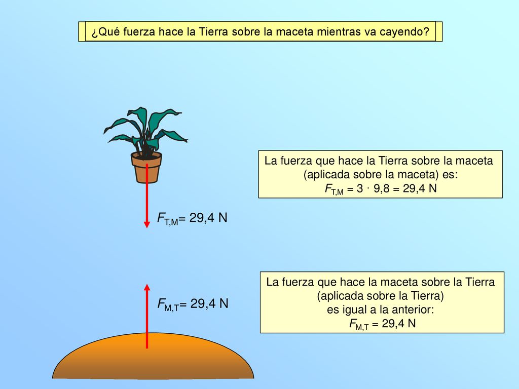 ¿Mientras cae la maceta, qué fuerza hace la maceta sobre la Tierra