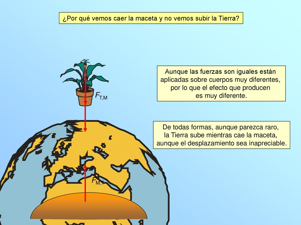 FT,M FM,T ¿Por qué vemos caer la maceta y no vemos subir la Tierra