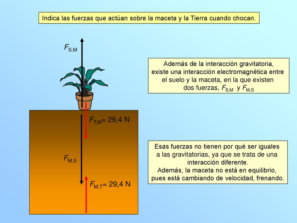 Indica las fuerzas que actúan sobre la maceta y la Tierra cuando chocan.