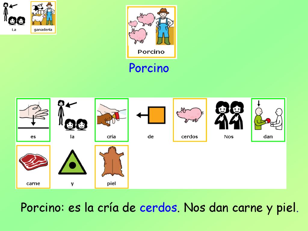 Porcino: es la cría de cerdos. Nos dan carne y piel.
