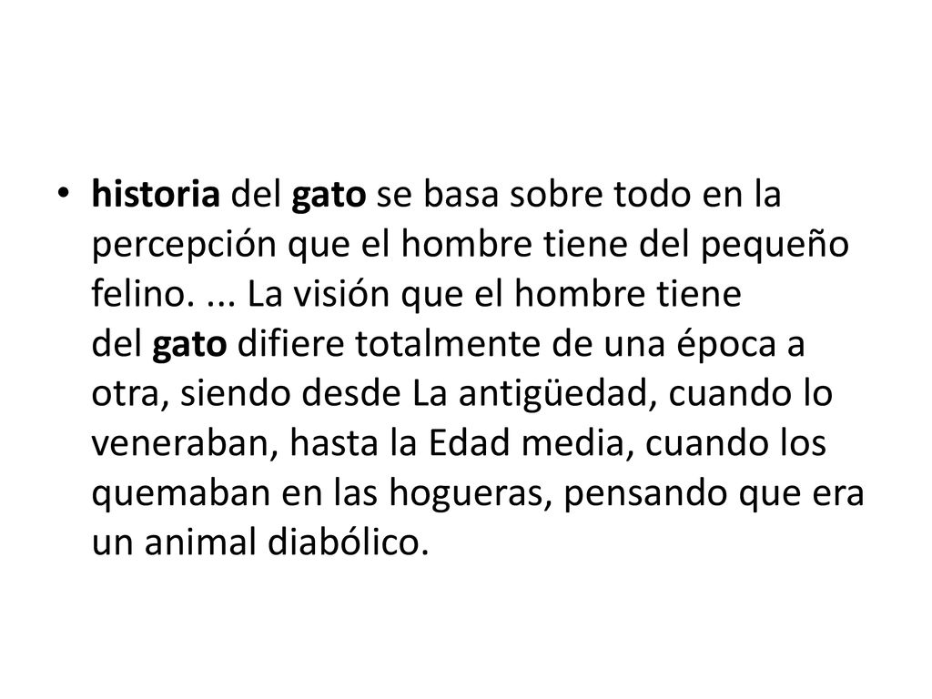 historia del gato se basa sobre todo en la percepción que el hombre tiene del pequeño felino.