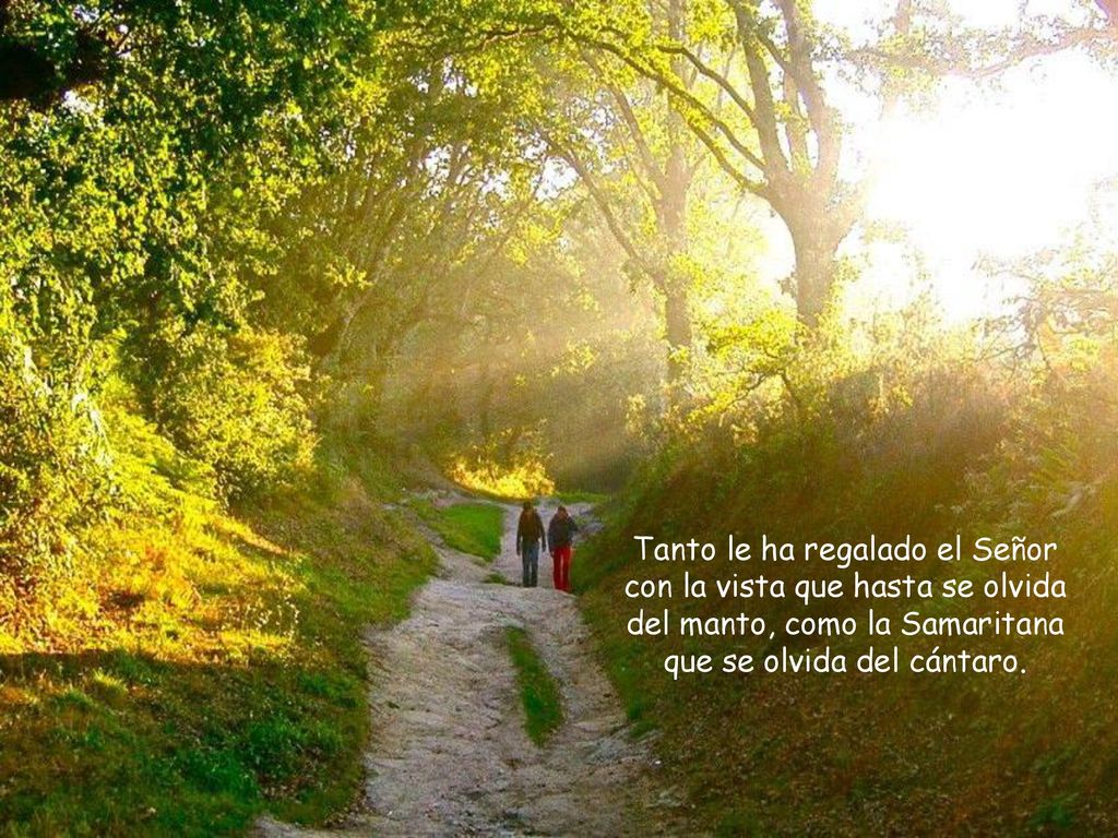 Tanto le ha regalado el Señor con la vista que hasta se olvida del manto, como la Samaritana que se olvida del cántaro.