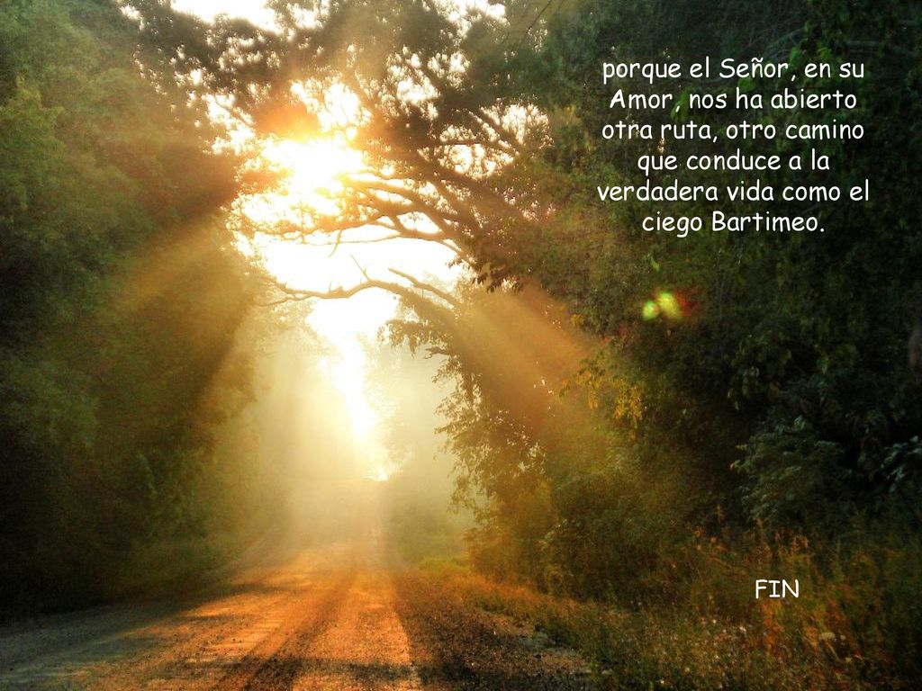 porque el Señor, en su Amor, nos ha abierto otra ruta, otro camino que conduce a la verdadera vida como el ciego Bartimeo.