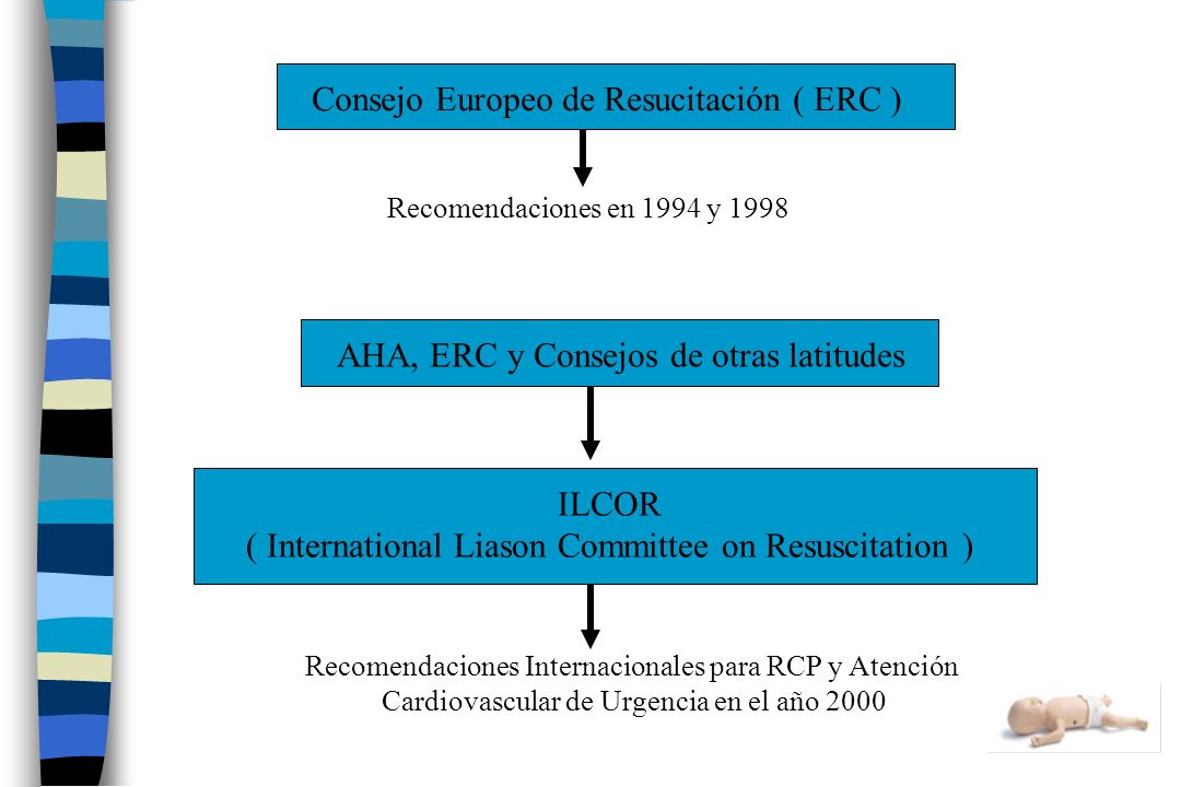 Consejo Europeo de Resucitación ( ERC )