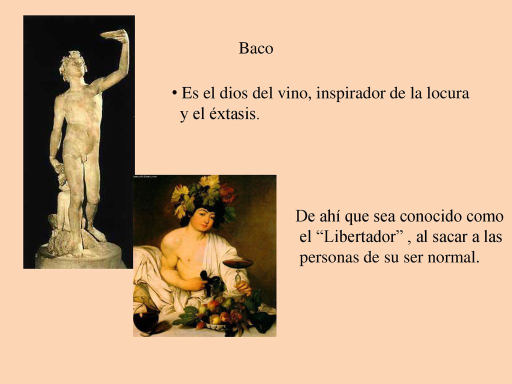 Baco Es el dios del vino, inspirador de la locura. y el éxtasis. De ahí que sea conocido como el Libertador , al sacar a las.