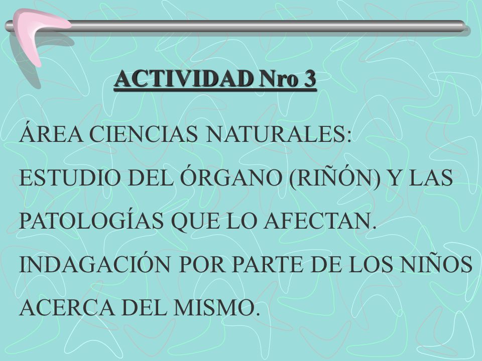 ACTIVIDAD Nro 3 ÁREA CIENCIAS NATURALES: ESTUDIO DEL ÓRGANO (RIÑÓN) Y LAS. PATOLOGÍAS QUE LO AFECTAN.