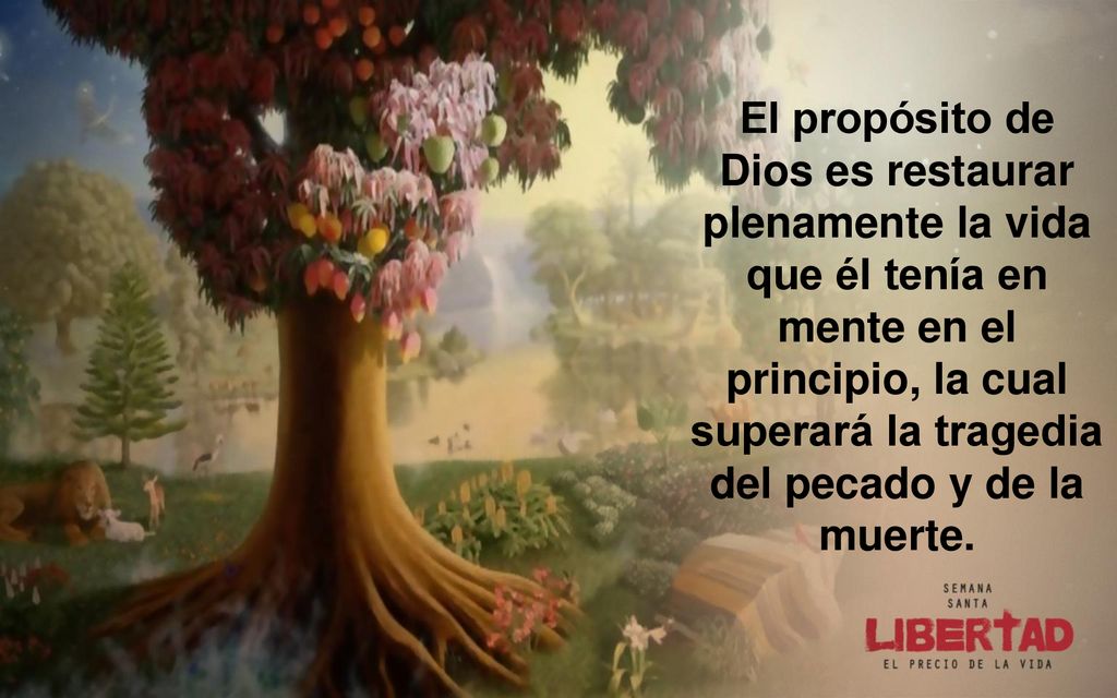 El propósito de Dios es restaurar plenamente la vida que él tenía en mente en el principio, la cual superará la tragedia del pecado y de la muerte.
