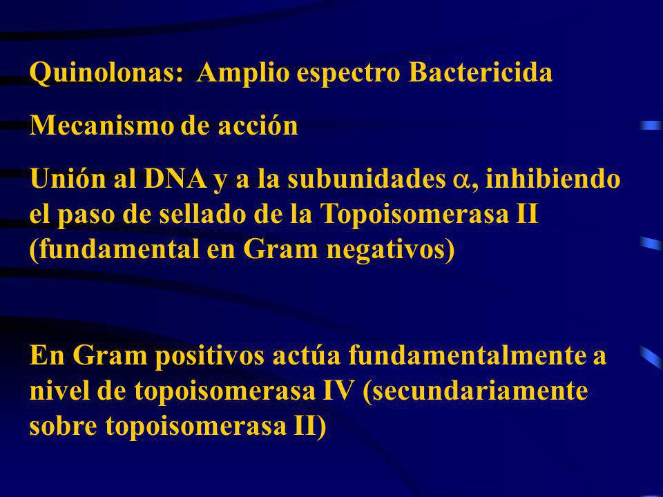 Quinolonas: Amplio espectro Bactericida