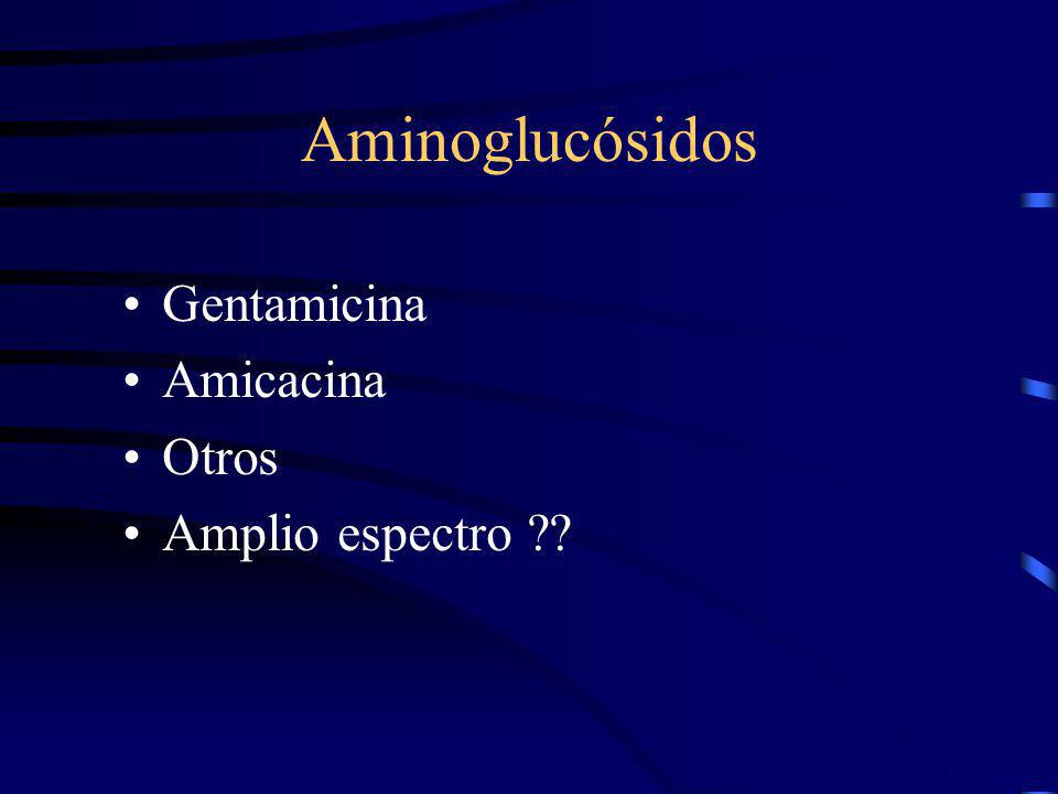 Aminoglucósidos Gentamicina Amicacina Otros Amplio espectro