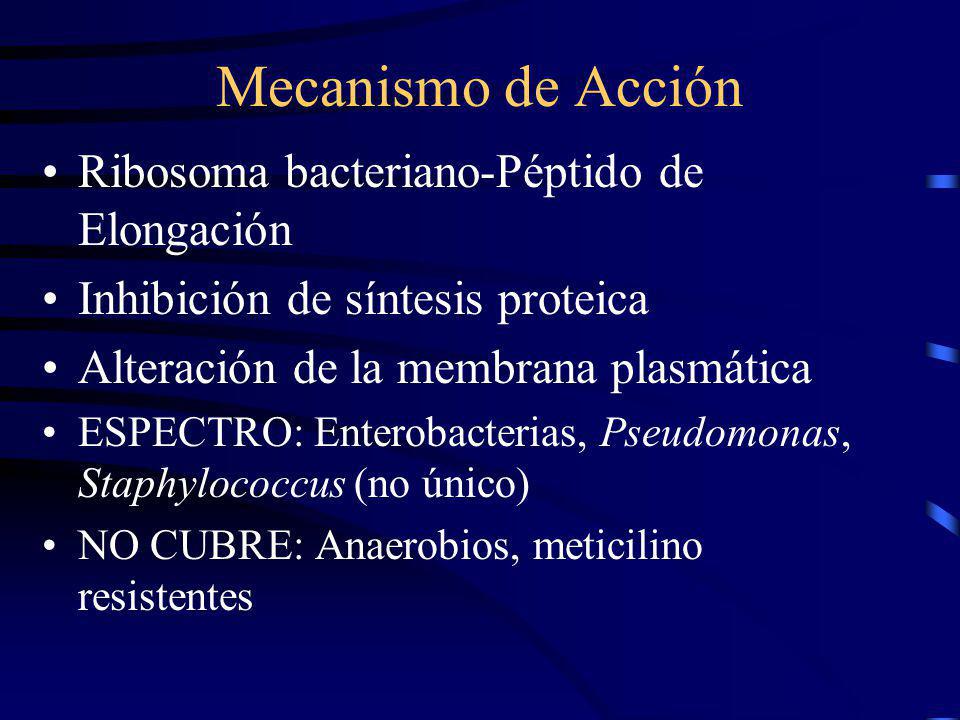 Mecanismo de Acción Ribosoma bacteriano-Péptido de Elongación