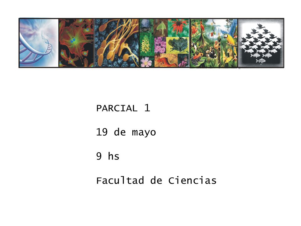 PARCIAL 1 19 de mayo 9 hs Facultad de Ciencias