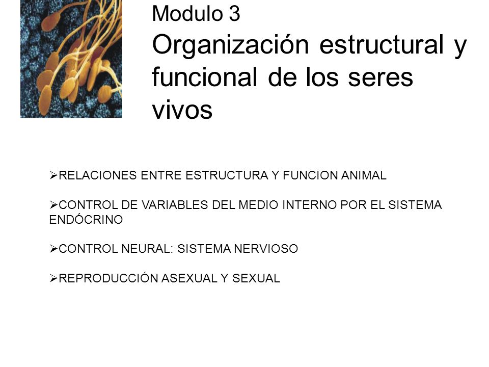 Modulo 3 Organización estructural y funcional de los seres vivos