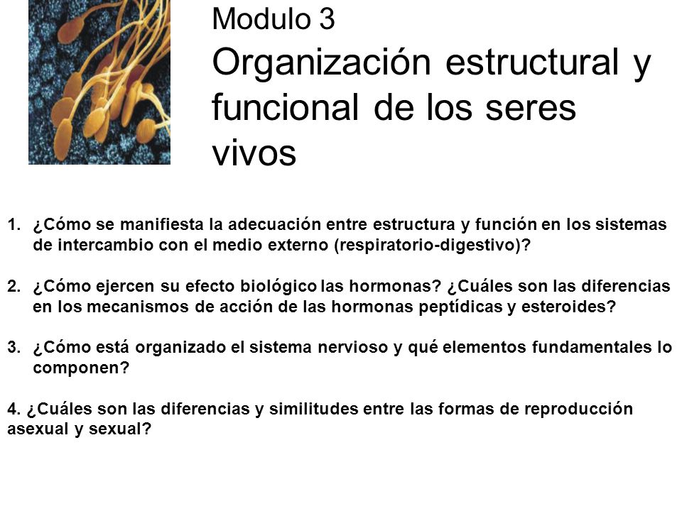 Modulo 3 Organización estructural y funcional de los seres vivos