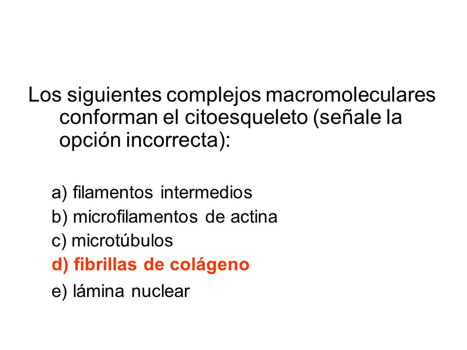 Los siguientes complejos macromoleculares conforman el citoesqueleto (señale la opción incorrecta):