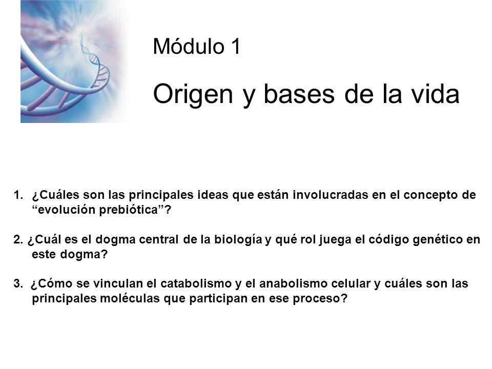 Origen y bases de la vida