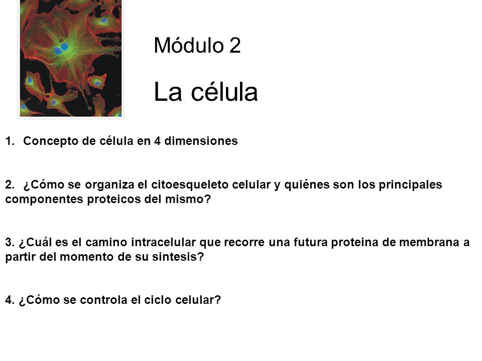 La célula Módulo 2 Concepto de célula en 4 dimensiones