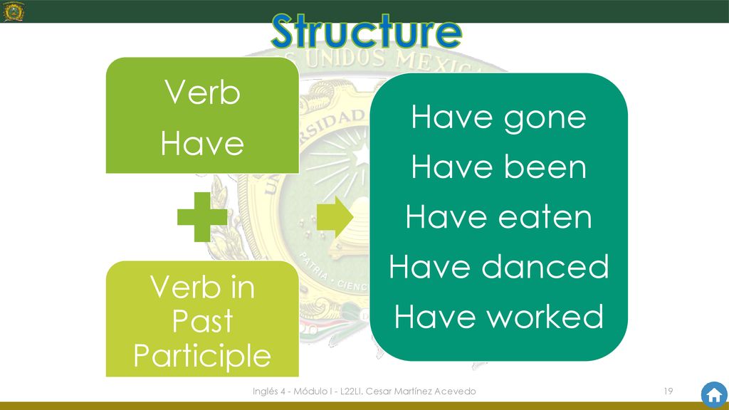 Structure Verb Have Have gone Have been Have eaten Have danced