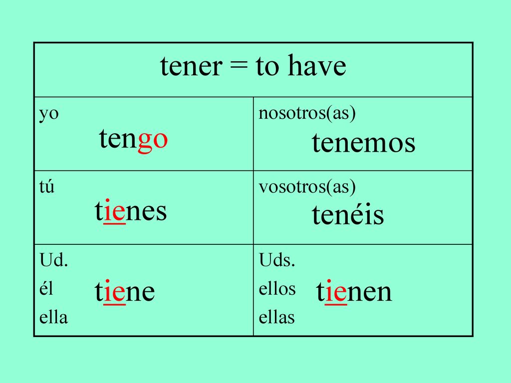 tener = to have tengo tenemos tienes tenéis tiene tienen yo