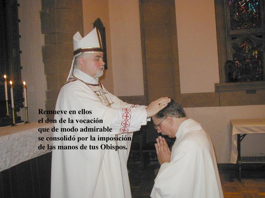 Remueve en ellos el don de la vocación que de modo admirable.