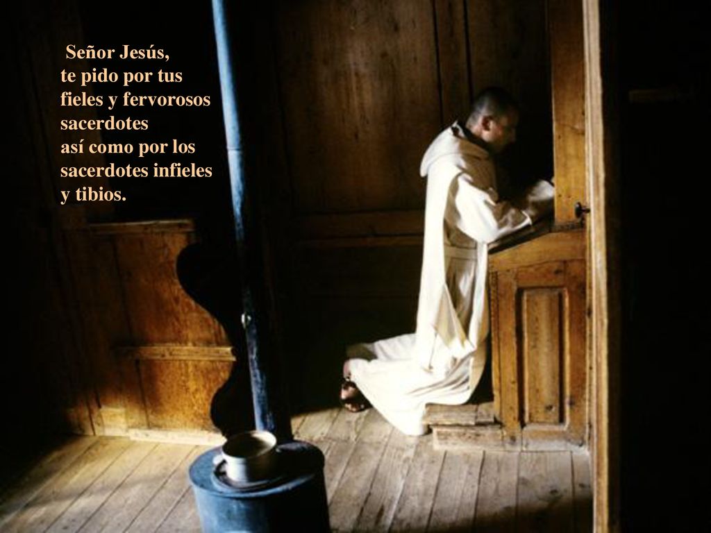 Señor Jesús, te pido por tus fieles y fervorosos sacerdotes.