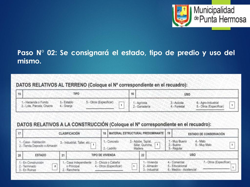 Paso N° 02: Se consignará el estado, tipo de predio y uso del mismo.