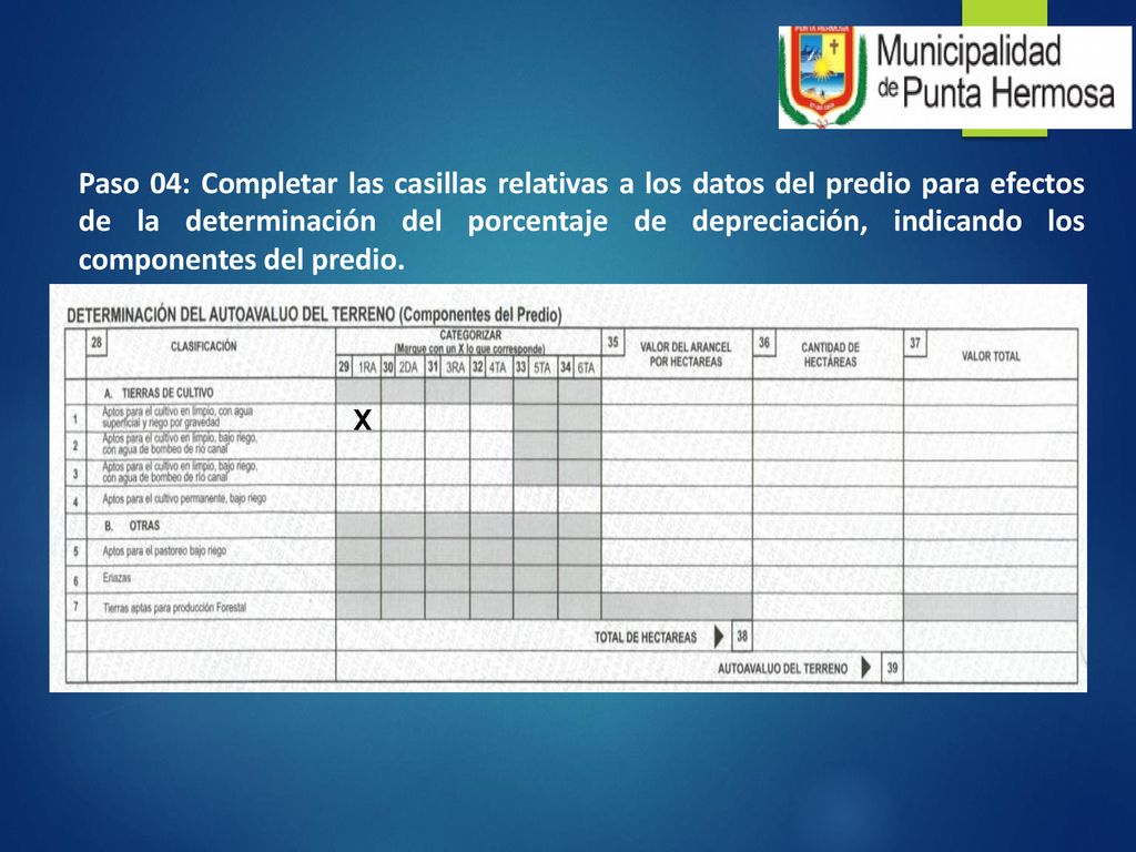 Paso 04: Completar las casillas relativas a los datos del predio para efectos de la determinación del porcentaje de depreciación, indicando los componentes del predio.