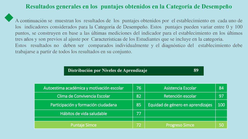 Resultados generales en los puntajes obtenidos en la Categoría de Desempeño