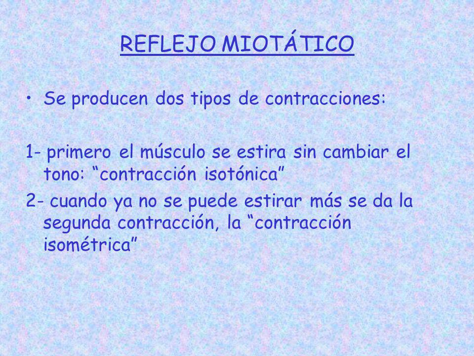 REFLEJO MIOTÁTICO Se producen dos tipos de contracciones: