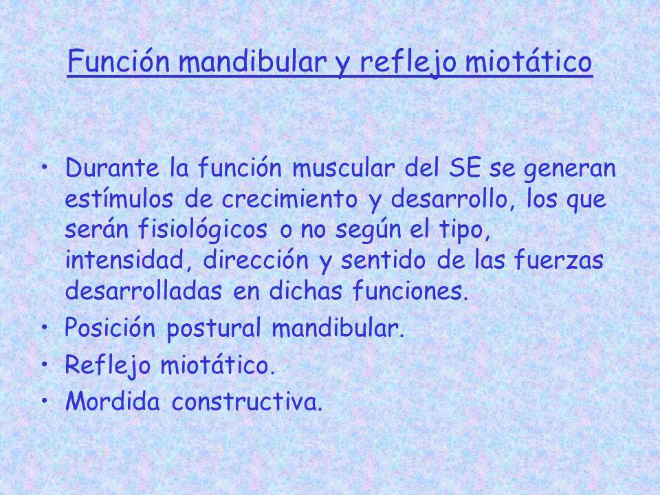 Función mandibular y reflejo miotático