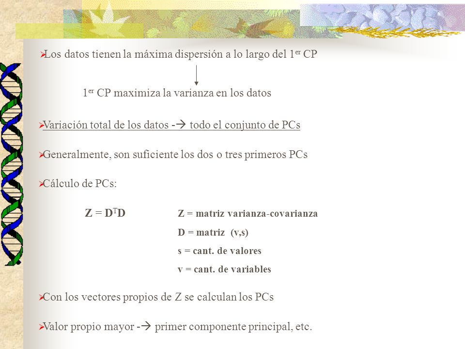 Los datos tienen la máxima dispersión a lo largo del 1er CP