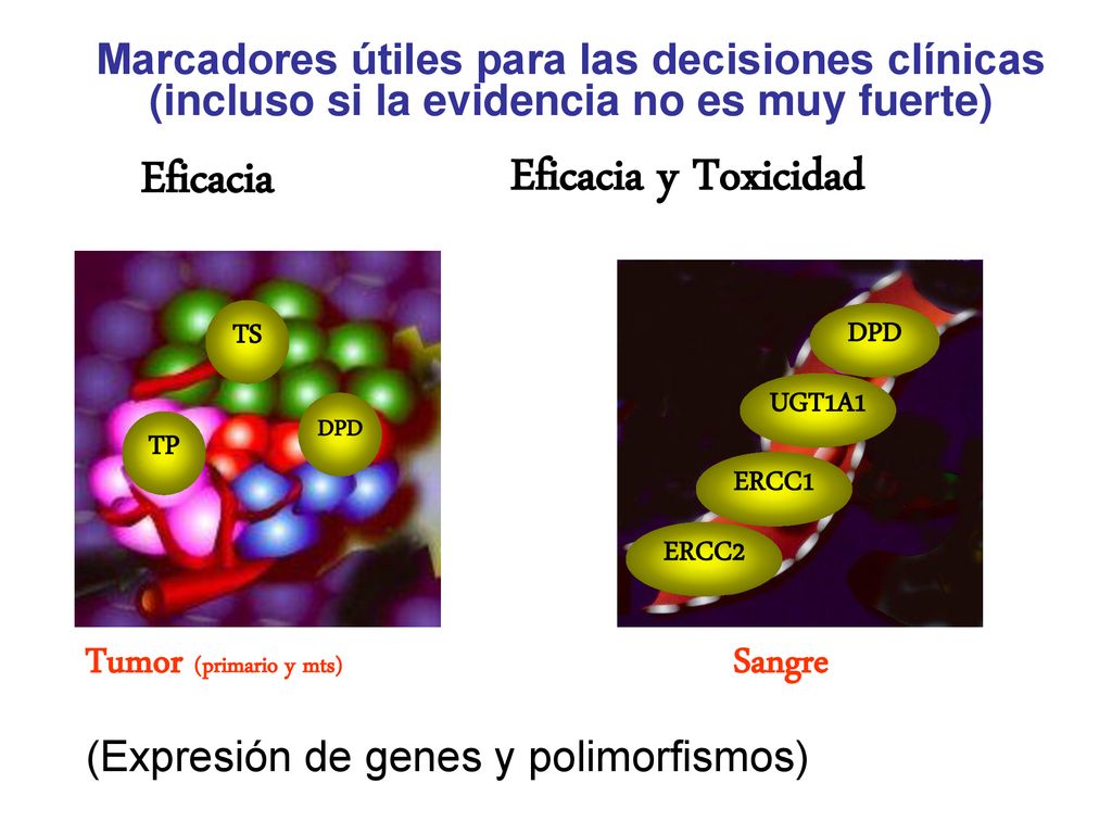 Eficacia Eficacia y Toxicidad Tumor (primario y mts) Sangre