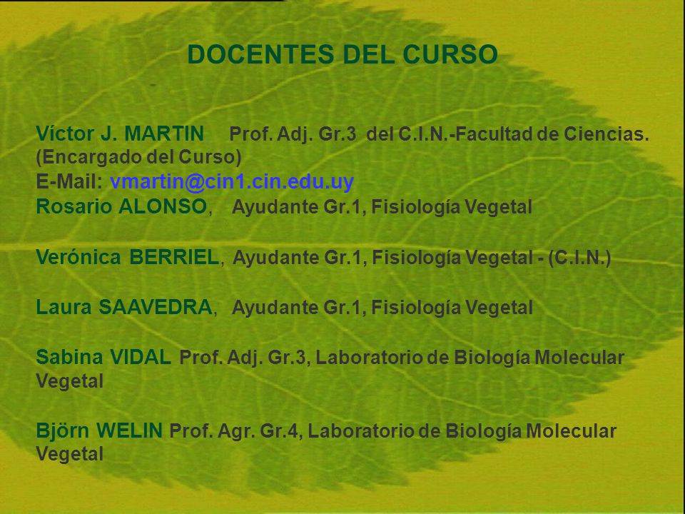 DOCENTES DEL CURSO Víctor J. MARTIN, Prof. Adj. Gr.3 del C.I.N.-Facultad de Ciencias. (Encargado del Curso)