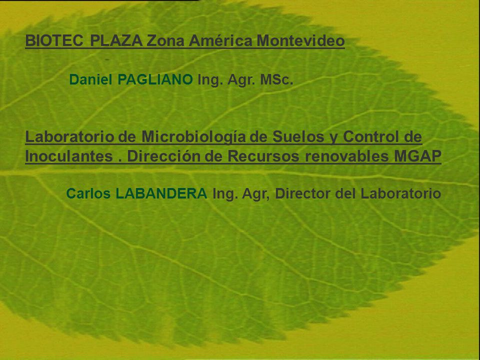 BIOTEC PLAZA Zona América Montevideo Daniel PAGLIANO Ing. Agr. MSc.