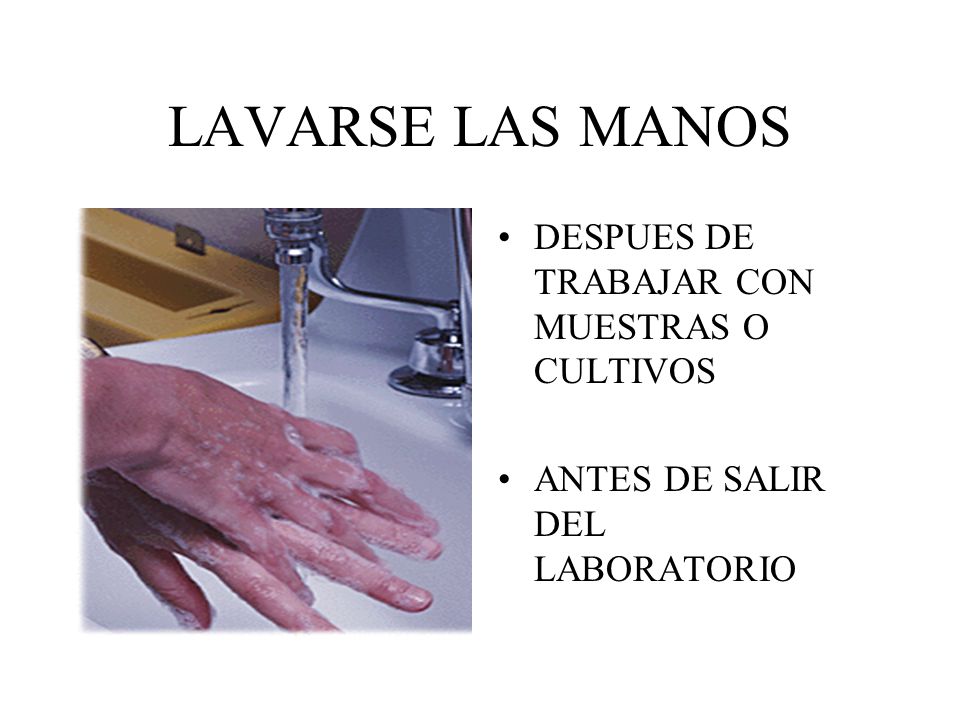 LAVARSE LAS MANOS DESPUES DE TRABAJAR CON MUESTRAS O CULTIVOS