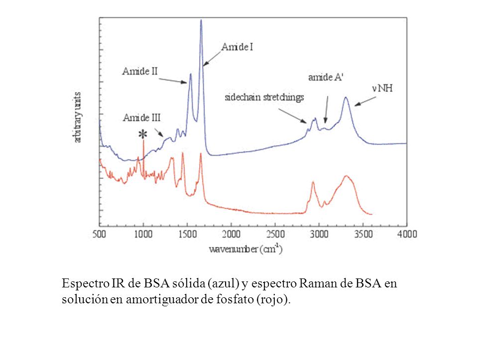 Espectro IR de BSA sólida (azul) y espectro Raman de BSA en solución en amortiguador de fosfato (rojo).