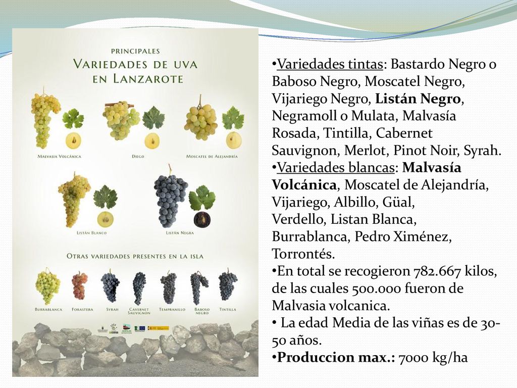 Variedades tintas: Bastardo Negro o Baboso Negro, Moscatel Negro, Vijariego Negro, Listán Negro, Negramoll o Mulata, Malvasía Rosada, Tintilla, Cabernet Sauvignon, Merlot, Pinot Noir, Syrah.