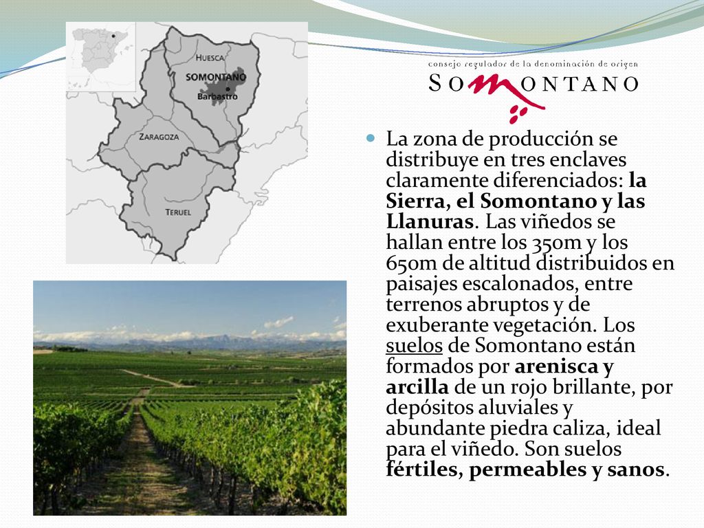 La zona de producción se distribuye en tres enclaves claramente diferenciados: la Sierra, el Somontano y las Llanuras.