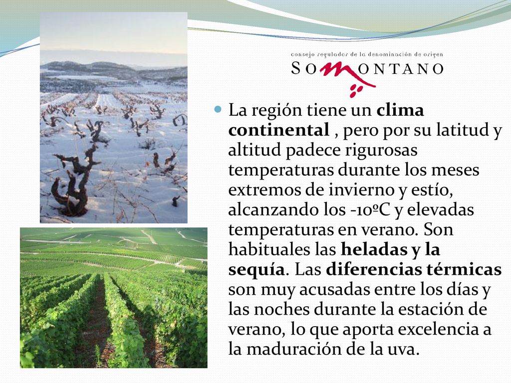La región tiene un clima continental , pero por su latitud y altitud padece rigurosas temperaturas durante los meses extremos de invierno y estío, alcanzando los -10ºC y elevadas temperaturas en verano.