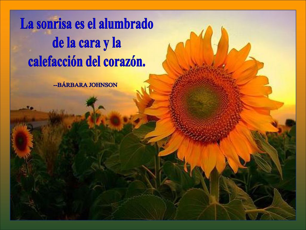 La sonrisa es el alumbrado calefacción del corazón.