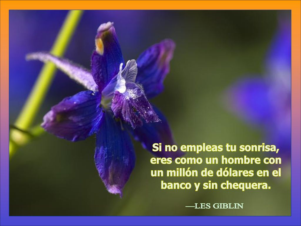 Si no empleas tu sonrisa, un millón de dólares en el